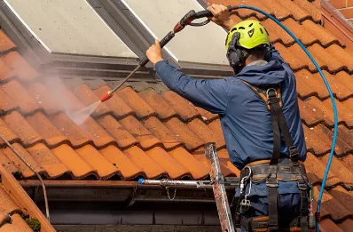 Démoussage et hydrofuge de toiture à Guenviller